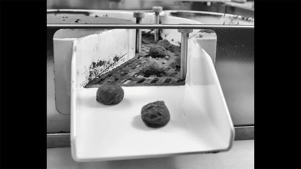 Automatic Truffle kaplama makinesi detay görünüm