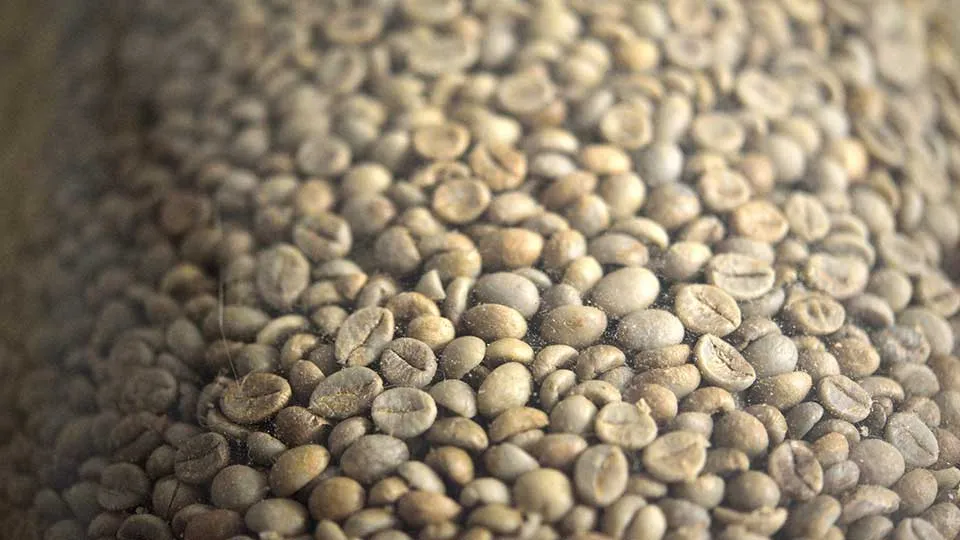 Hazelnut Roasting Machine