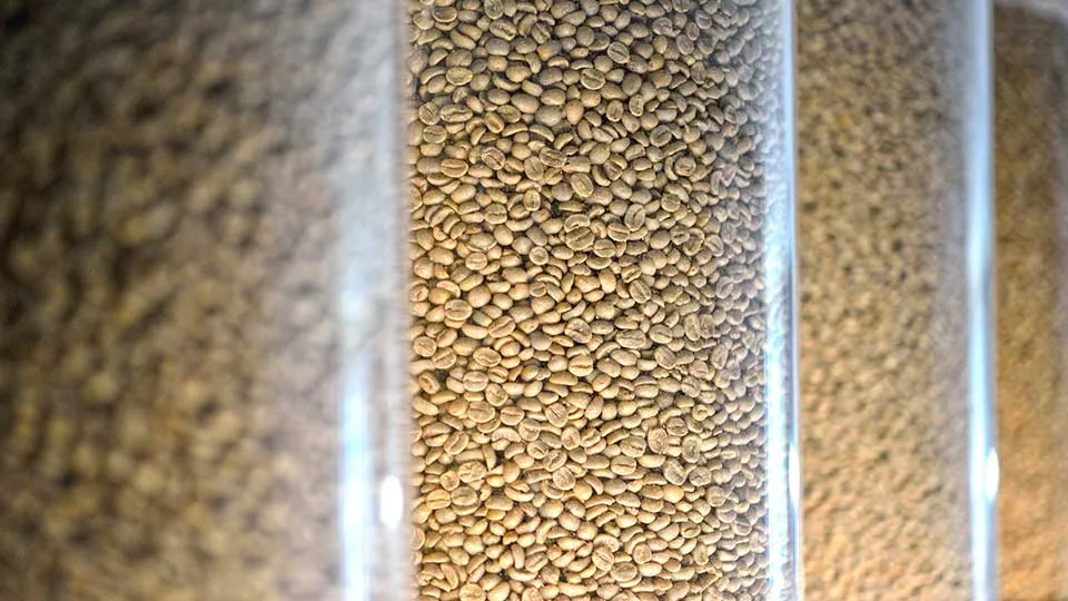 Selmi Coffeelab yükleme hazneleri detay