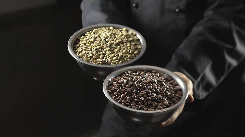 Roaster 101 kahve kavurma makinesi önden görünüm