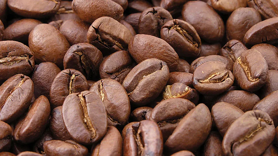 Roaster 101 kahve kavurma makinesi yandan görünüm